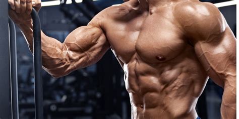 hipertrofia muscular - ganhar massa muscular